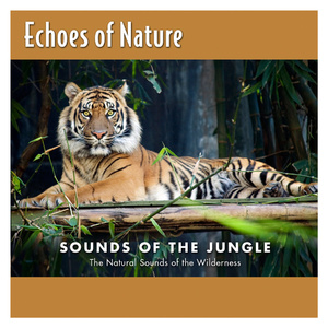 精品美女模特在线网站
